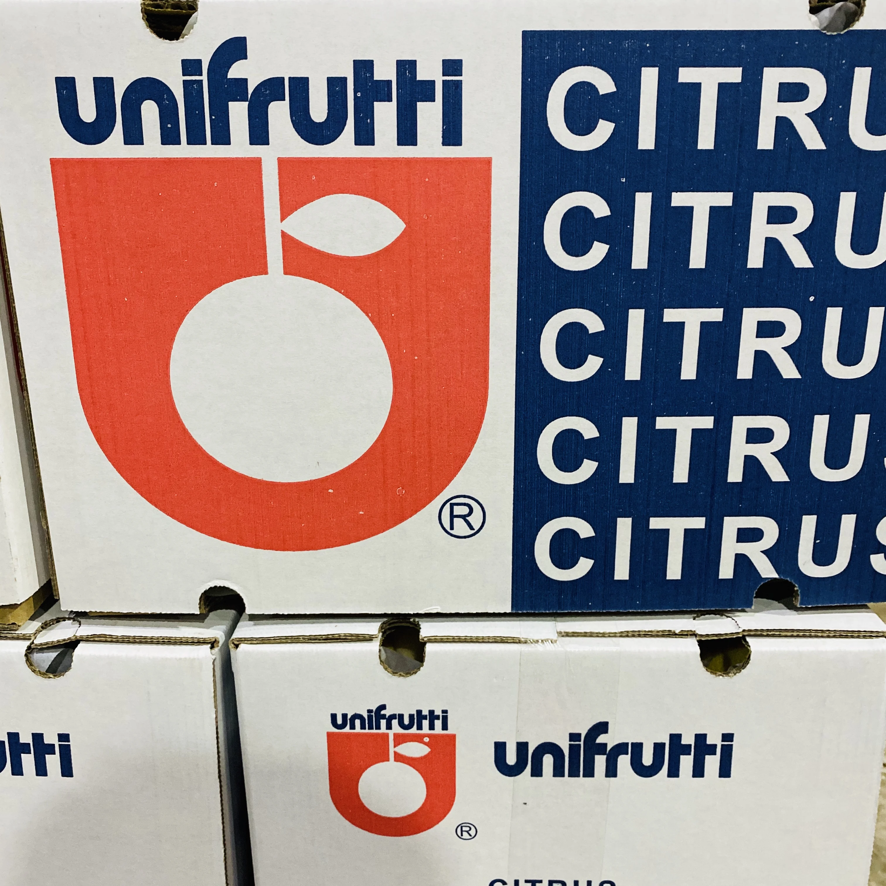 Fresh Eureka lemon from CHINA