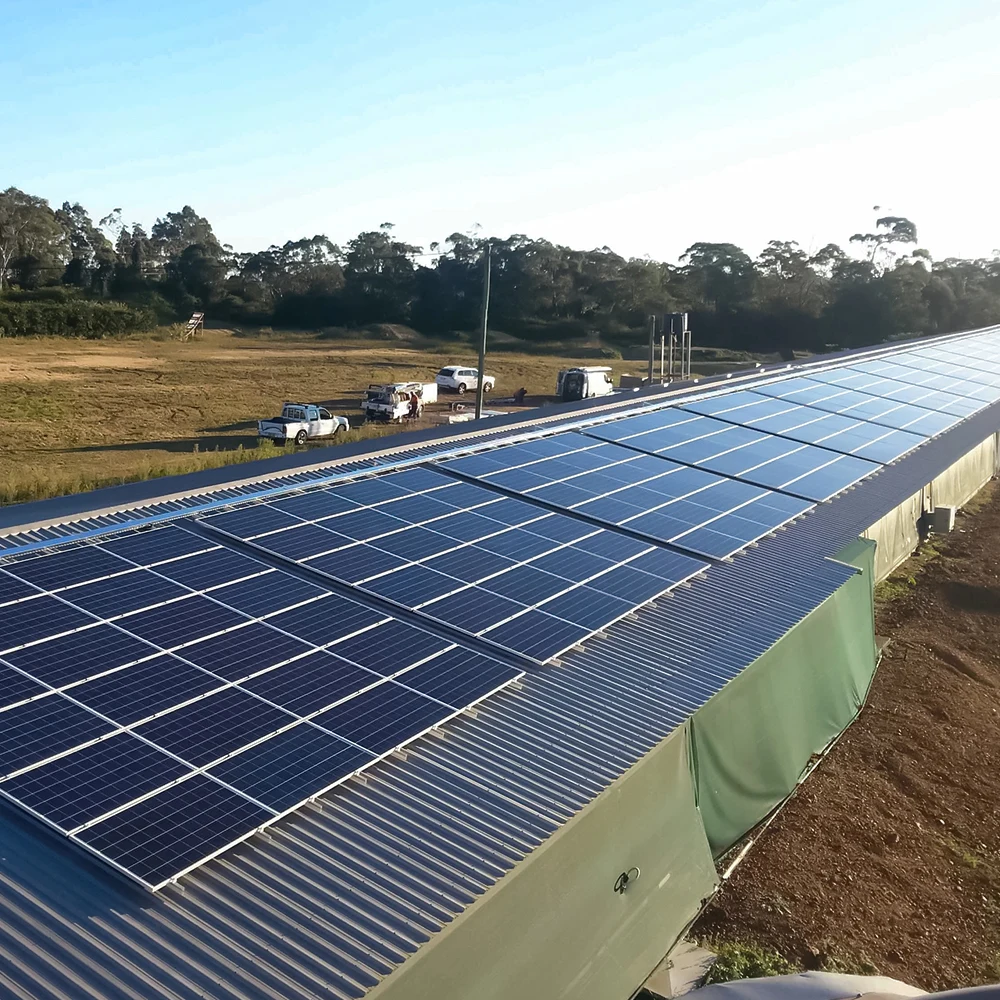 Easy Installation 30kw 50kw 100kw 120kw 150kw 3 Phase Commercial Hybrid Solar Power System