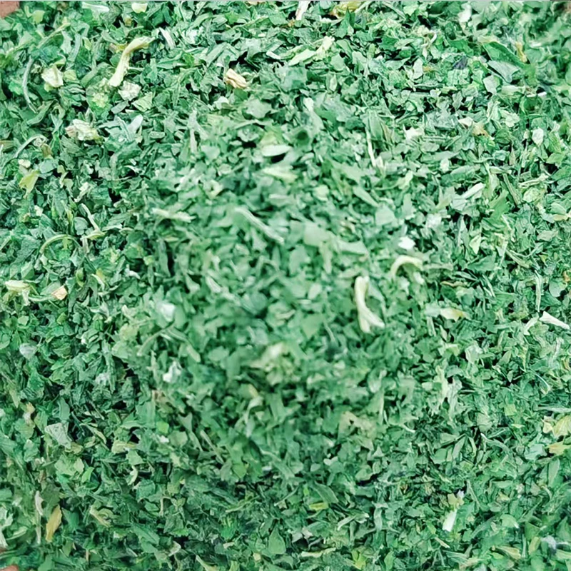Manufacture Supply Natural Dehydrated Celery Leaf 3x3mm