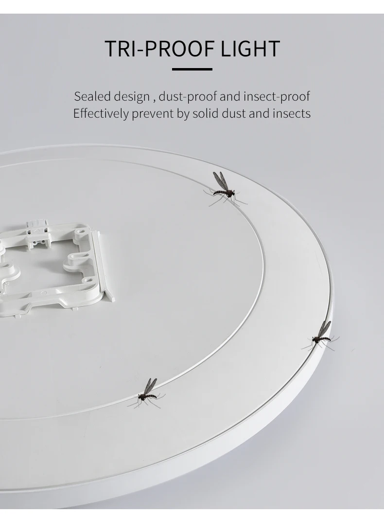 Round LED Surface Mounted Ceiling Lamp for Small Room Kitchen Ceiling Light