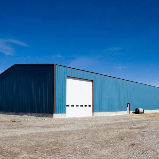 Cheap China Low Cost Prefab Warehouse Outdoor Storage Shed Light Metal Steel Structure Construction Building Peb Warehouse Price