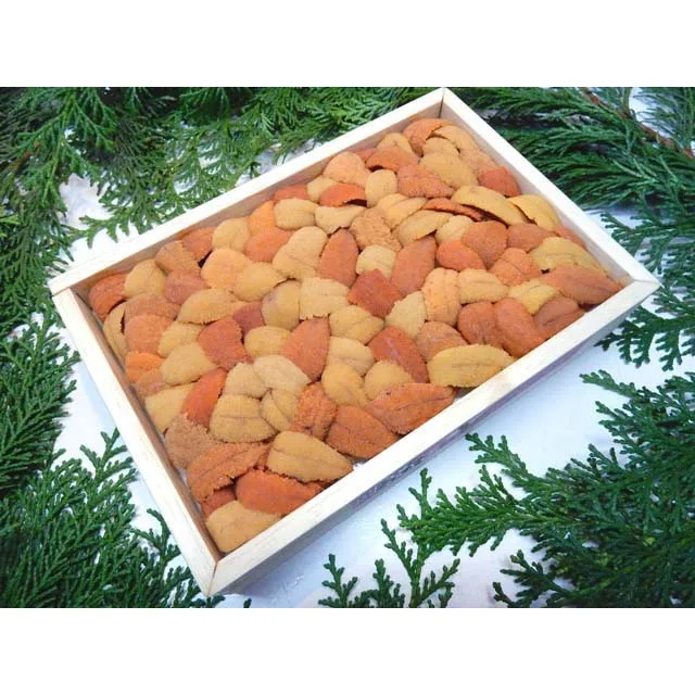 
Japanese wholesale fresh sea urchin for sale with good price 