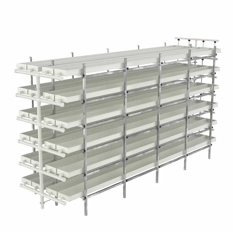 Large Commercial Hydroponic Fodder