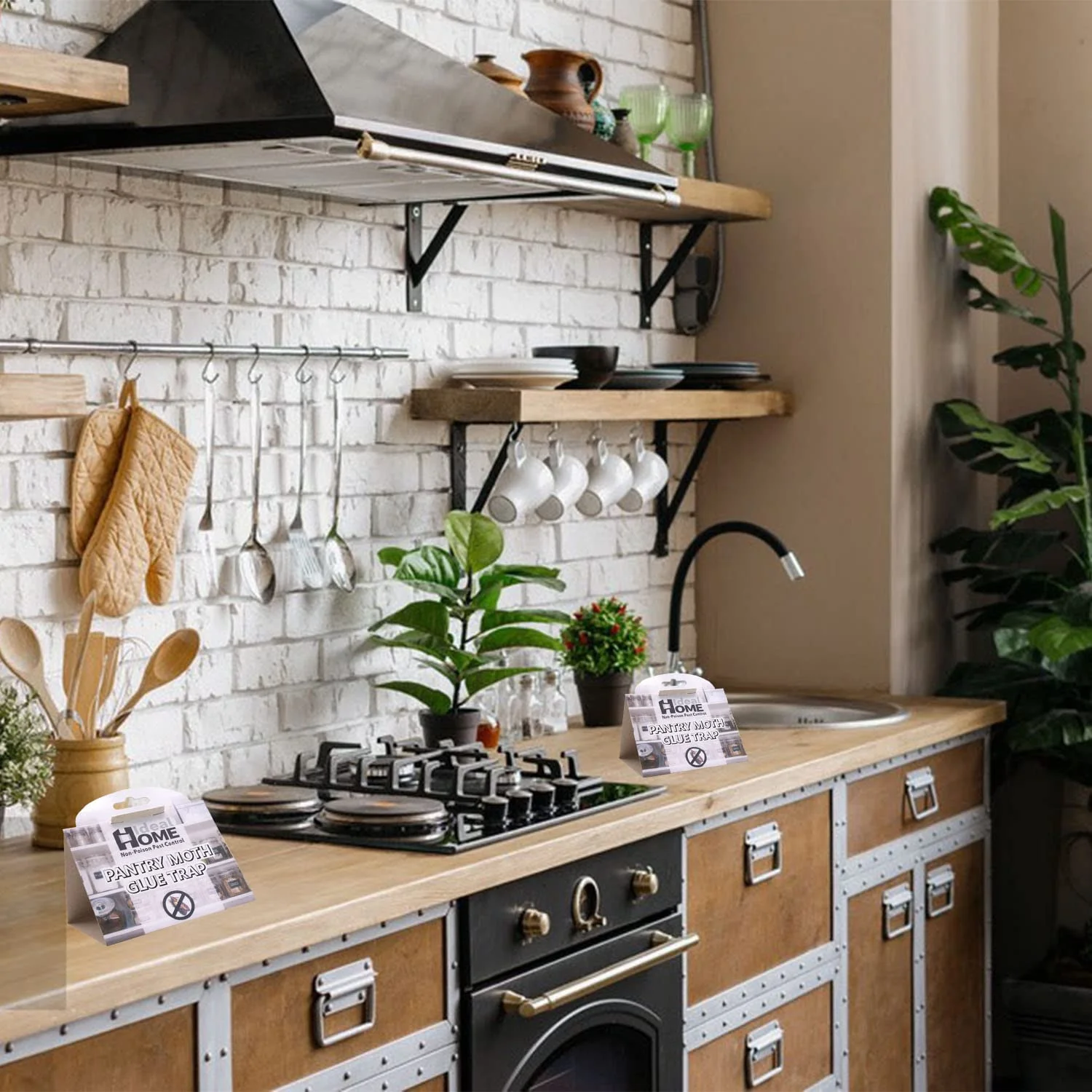 high-efficiency Pantry Moth Glue Trap OEM Moth Trap