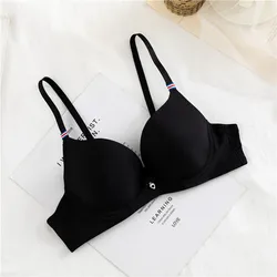 Women Push Up Bra Tshirt Bra WITH WIRE
