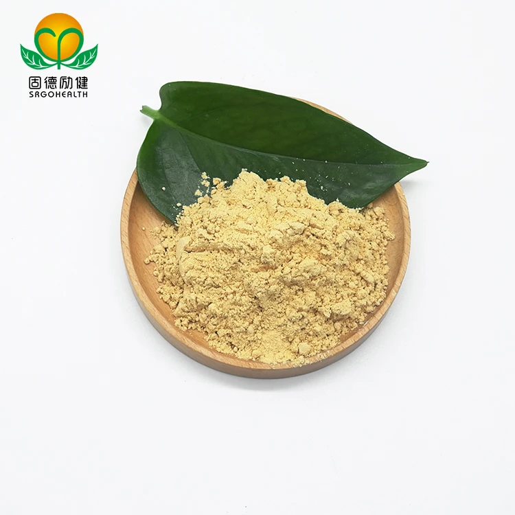 Organic Mushroom  Hericium Erinaceus Extract Powder