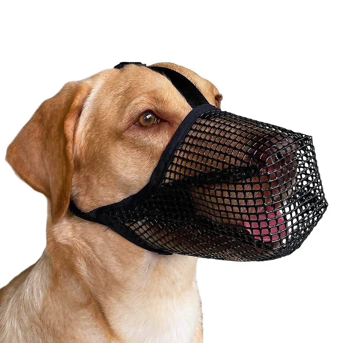 Manufacturers Anti Biting Barking and Chewing Dog Mouth Muzzle Custom Mesh Pet for Dogs