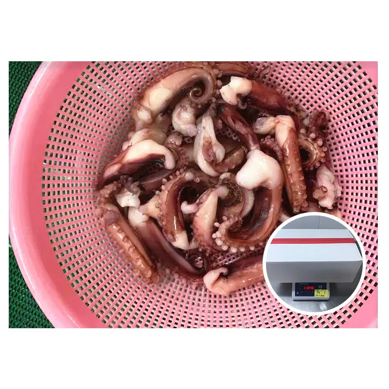 Frozen Squid Tentacle Size 20 - 25 Pieces Per Kg for Thailand Market