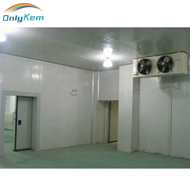 Quick Blast Freezer Cold Storage for Frozen food