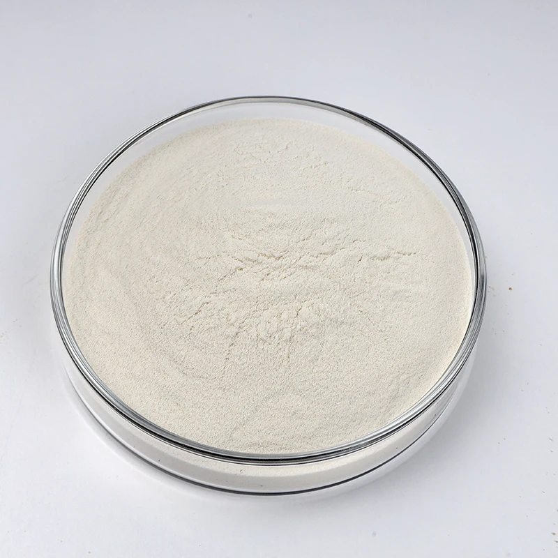 High Activity Enzyme 200,000 Alkaline Protease food grade protease enzyme