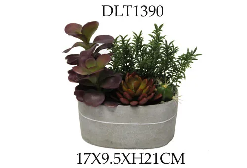 Succulents Potted Indoor echeveria succulent artificial plants and succulents