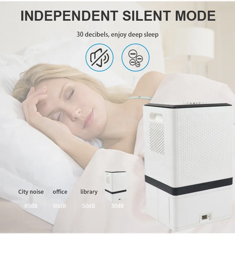 Commercial Mini Hot Sale New Cheap Removable Water Tank Portable Domestic Dehumidifier