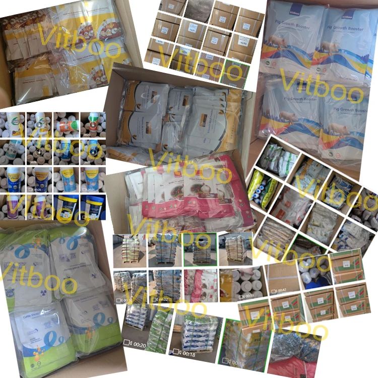 Alfalfa grass seed for cattle sheep duck goose, Alfalfa seeds with many years grow plants good quality Sweet elephant grass root