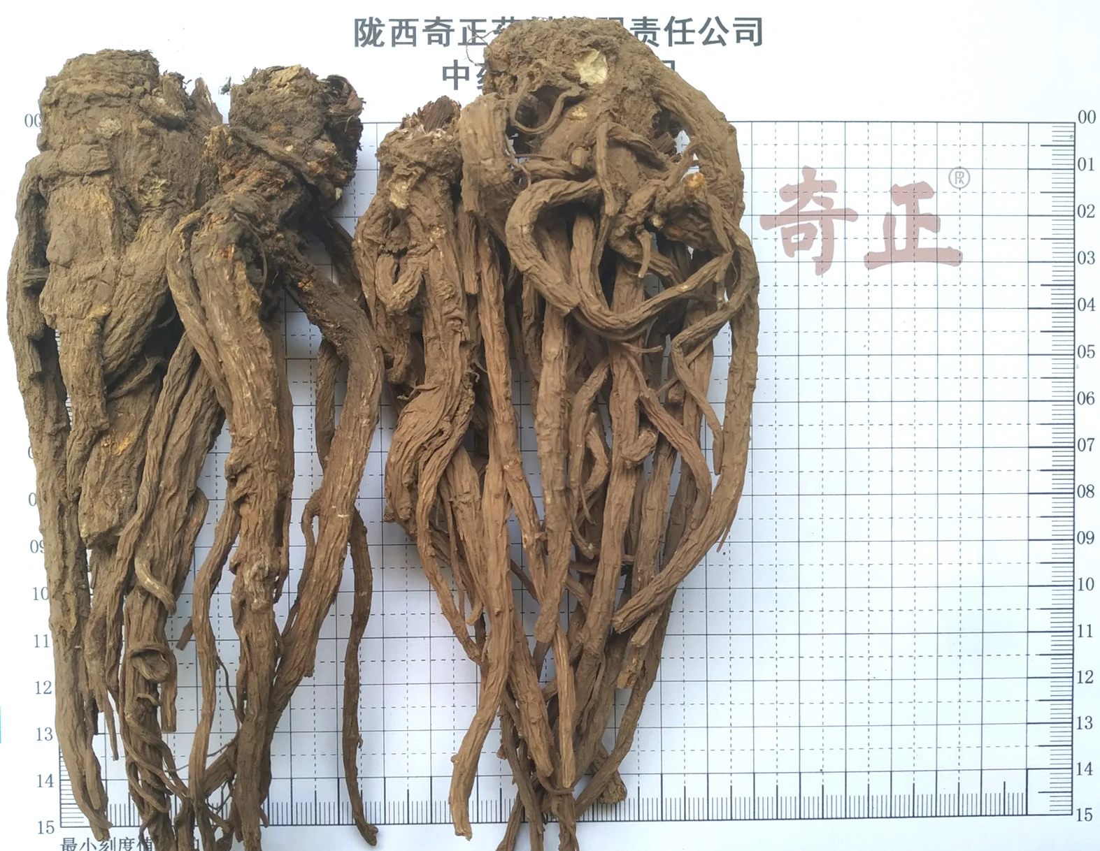 
Qiang Huo Chinese Herb Nature Wild Angelica Polyclada Dried Notopterygium Root 