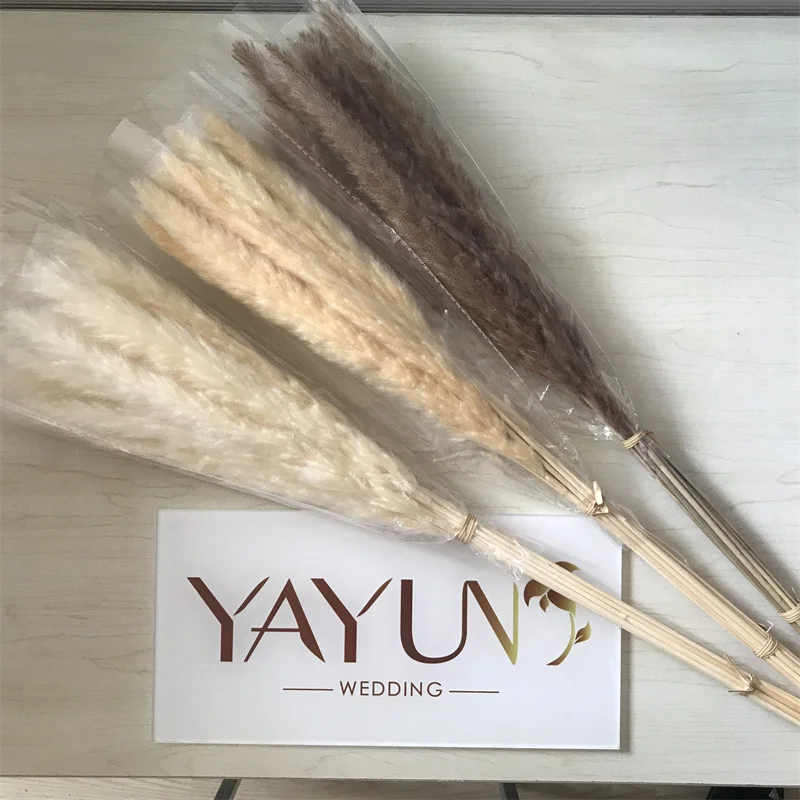 YAYUN CH2042 Hot Selling Home Decor Natural Dried Flower Pampas Grass
