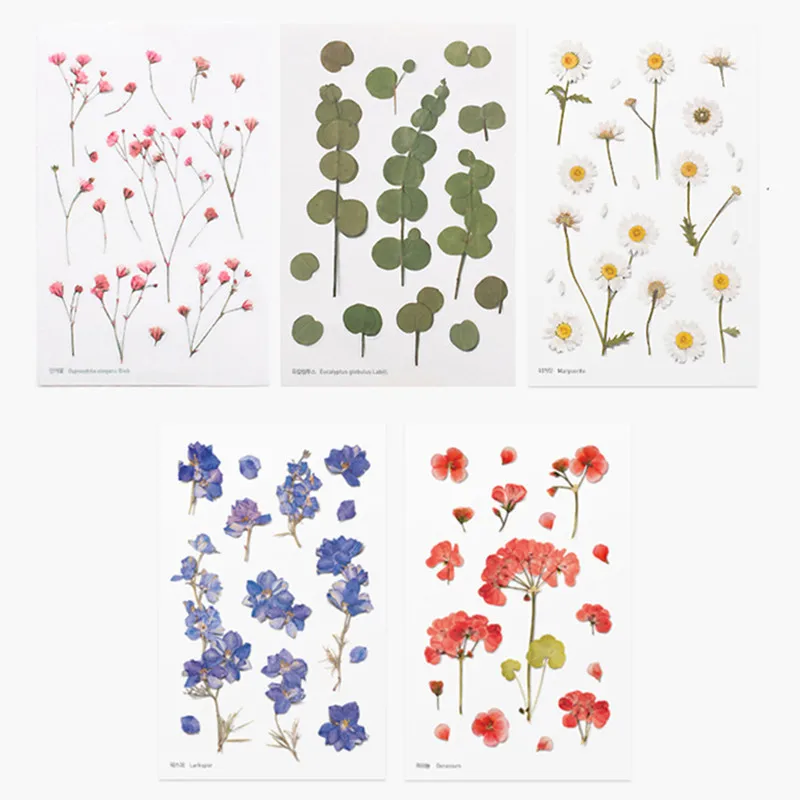Korean stationery creative simulation flower transparent PVC sticker flower plant diary hand account decorative sticker