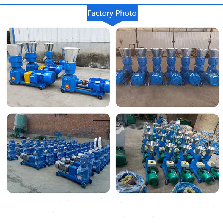 Livi Factory Price Farm Use Animal Pet Fish Feed Processing Pillet Machine Goat Chicken Feed Pellet Mill For Sale South Africa