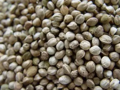 Ningxia органические шелушистые Семена