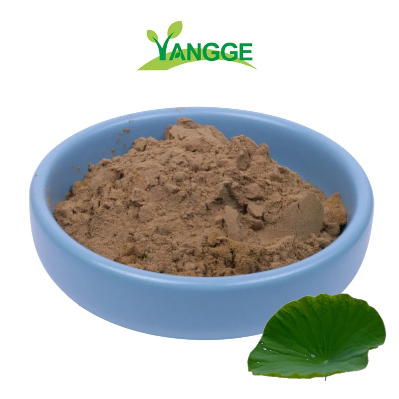 
Pure Lotus leaf extract Nelumbo nucifera extract lotus leaf extract powder 
