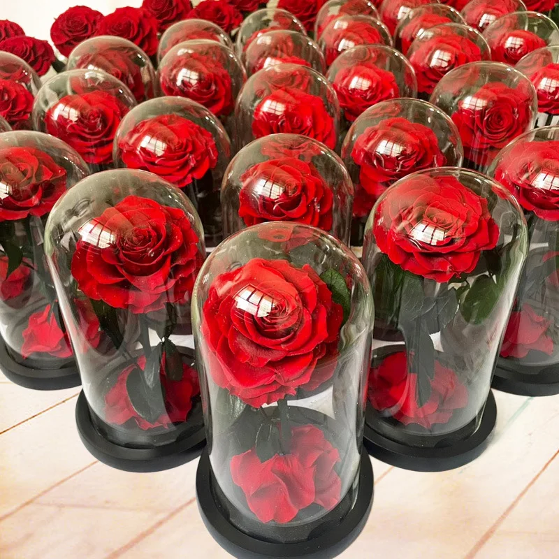 Preserved Rose Blue Valentines Day Gifts Real Rose in Glass Dome Roses for Her Birthday Gifts immortal flowers
