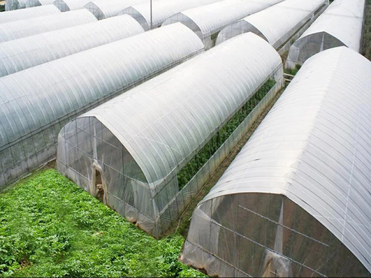 
cheap price tunnel greenhouse plastic sheet film tunnel greenhouse 