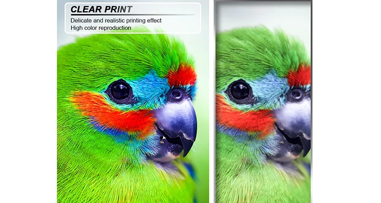 MWEI 1000ML/Bottle Pigment Ink Bulk Premium Water Based Pigment Ink For Epson 7900 9900 Printer 11 Colors