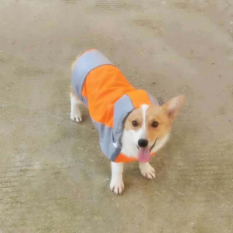 Dog raincoat lightweight custom high quality waterproof adjustable wind and pollution-free pet raincoat with rainy cloak