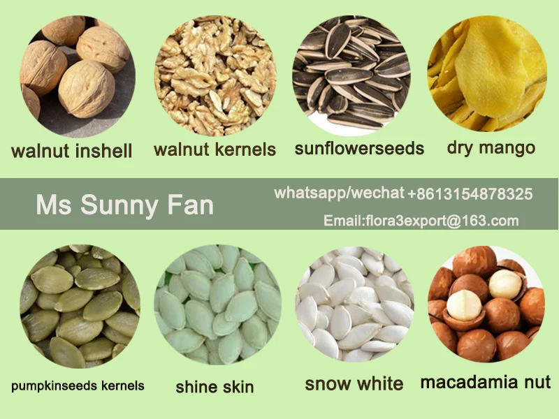 Chinese sunflower seeds 170-180 big size sunflower seeds T6
