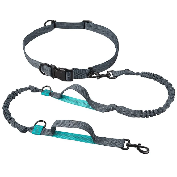 Reflective Dual Handle Dog Running Leash Bungee Nylon Hands Free Dog Leash Waist Belt