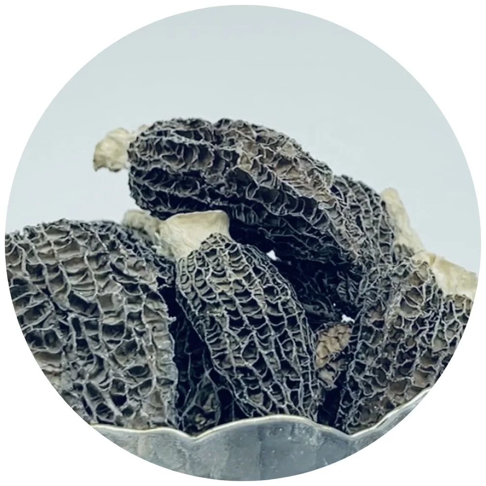 Natural Grow Black Morel Mushroom Dry whole morchella esculenta mushroom