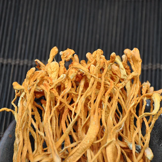 cordyceps militaris mushroom good price high cordycepin / Organic dried cordyceps militaris spore head