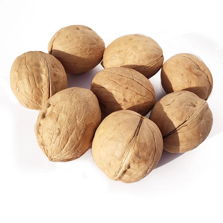 Китайский необработанный орех, Лучшая цена, высококачественный Урожай 2020 185/xingfu/33