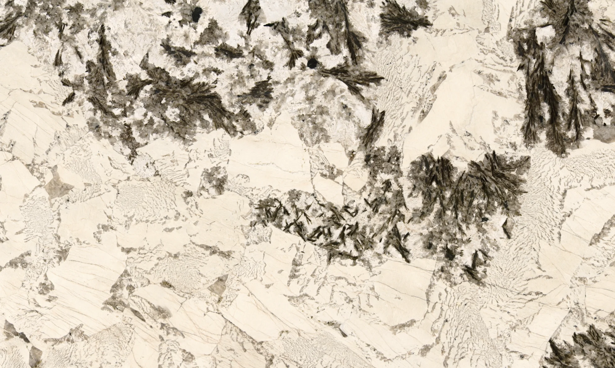 Decorative stone brazil beige quartzite and white color Alpinus  for house decoration quartzite slab floor tiles
