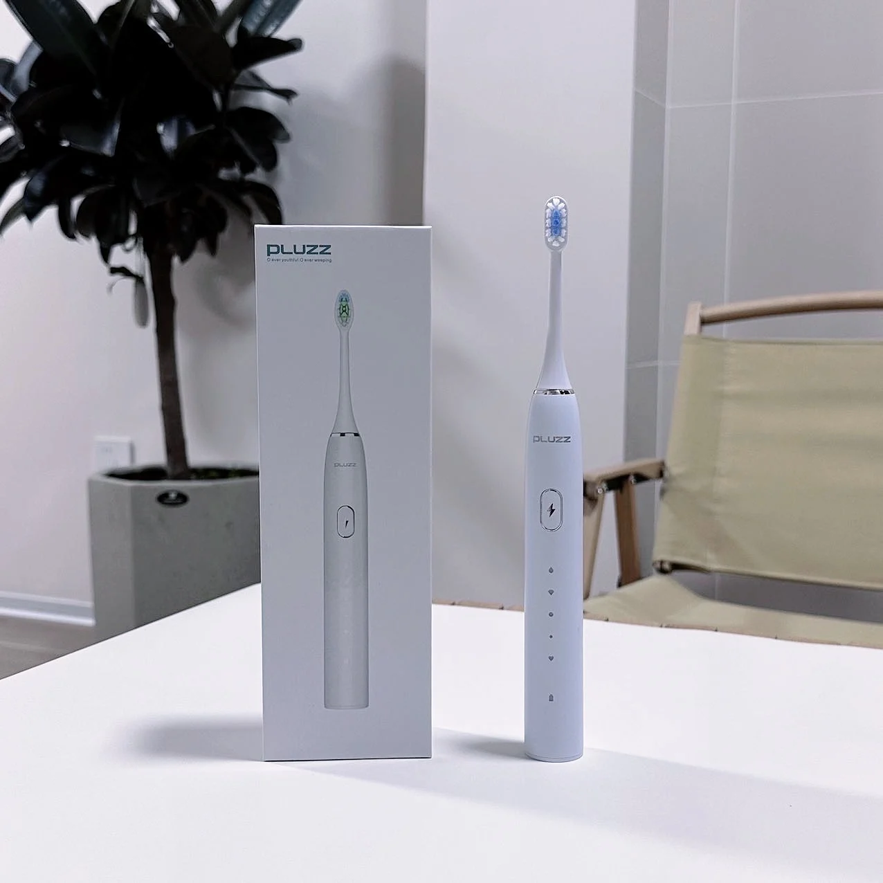 Factory OEM ODM Electric Toothbrush Travel Rechargeable Soft Brush Automatic Ultrasonic Electric Toothbrush PLUZZ  R101