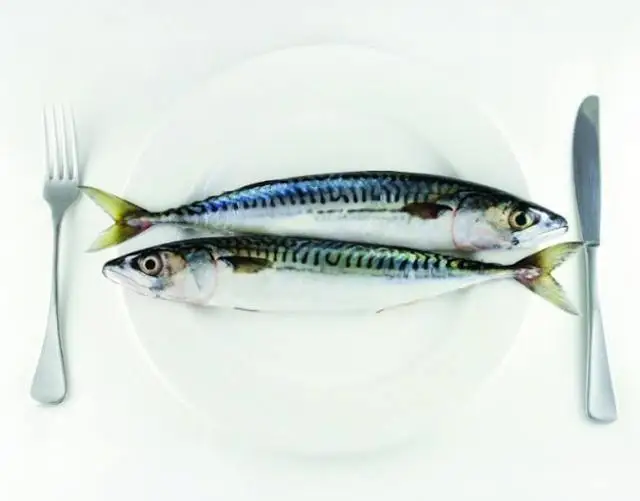 
Canned Mackerel in Brine 
