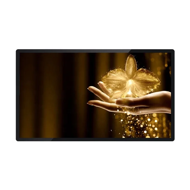 
21.5 Inch TFT Wall Mount LCD Display Capacitive Touch 10 Points Touch Screen Wifi Horizontal Android Windows Monitor 