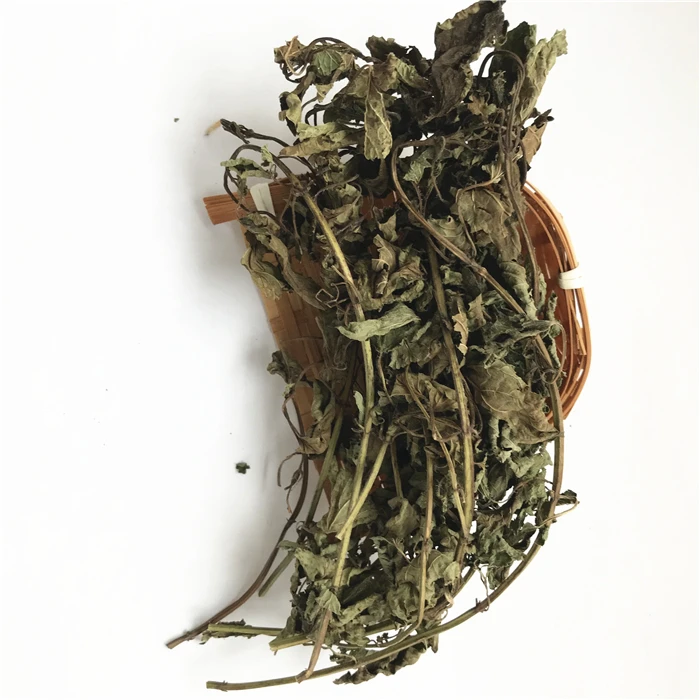 ning meng xiang feng ye 2020 new harvest herb spices dried lemon balm leaves