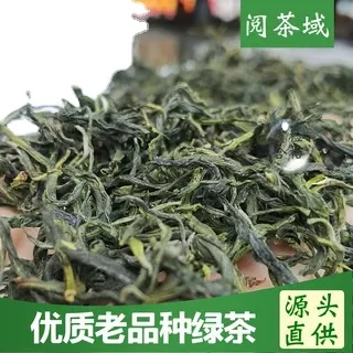 Yunnan Old variety Maofeng green tea Mingqian roasted green tea with sticky aroma and strong flavor that is resistant to soaking