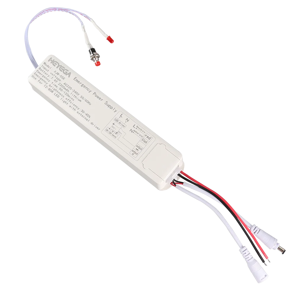 110V/220 12-80W Led Light Constant Current Emergency Power Pack Driver Supply