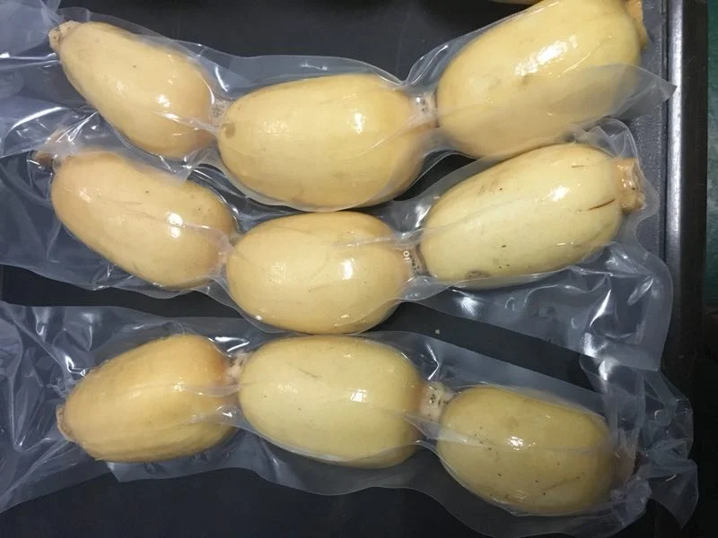 Большая оптовая продажа свежих корней лотоса