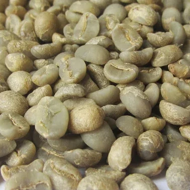 Organic 100% natural Washed Arabica S16 premium quality Vietnamese coffee beans competitive price