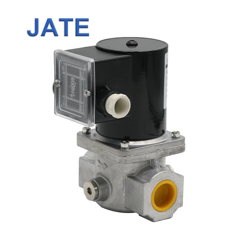 JATE TE4020 Solenoid Control Valves The Electromagnetic Valve for Gas Burner Parts Black Normal Temperature General 220V/110V AC