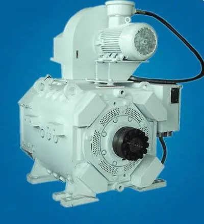 DRILL RIG ELECTRIC MOTOR