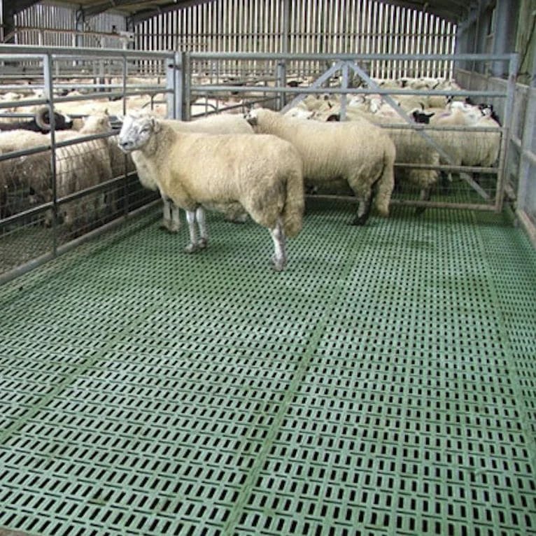 2021 factory direct sales goat sheep farming plastic slatted flooring