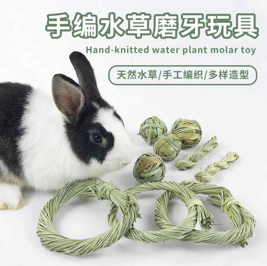 2021 new hot sale rabbit Bunny chew ball grass molar rabbit chew toy rabbit hamster guinea pig in Aquatic plants
