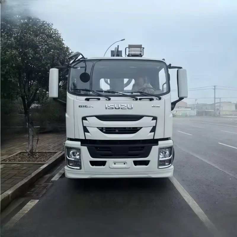 Japan Isuzu GIGA 4x2 10 ton crane truck