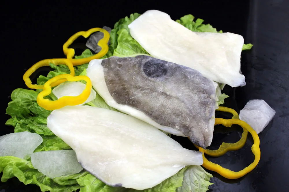 
fish export jhon dory fillet sea food companies 