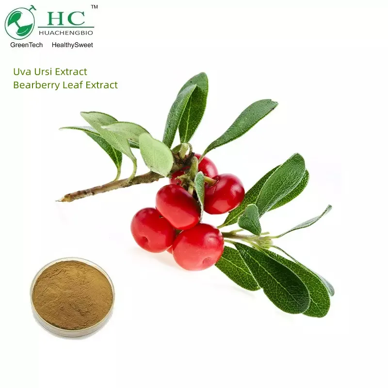 Порошок экстракта листьев Bearberry Uva Ursi P.e. Экстракт Уфа урси с урсоловой кислотой
