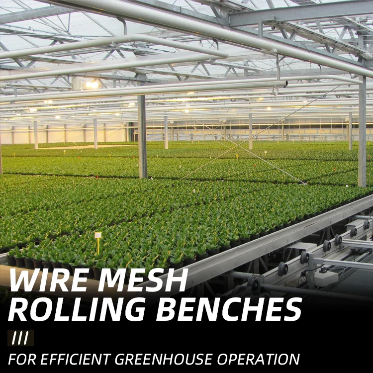 Hydroponic Greenhouse Systems Ebb And Drain Table Trays 4X8 Flow Benches Grow Table Seedbed Rolling Benches