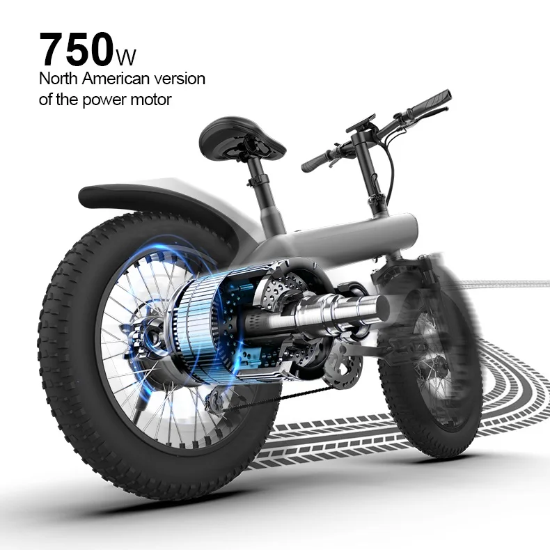 EU warehouse 750w long range step through ladies torque sensor Q3 fat tire ebike  hybrid long range  dirt bike